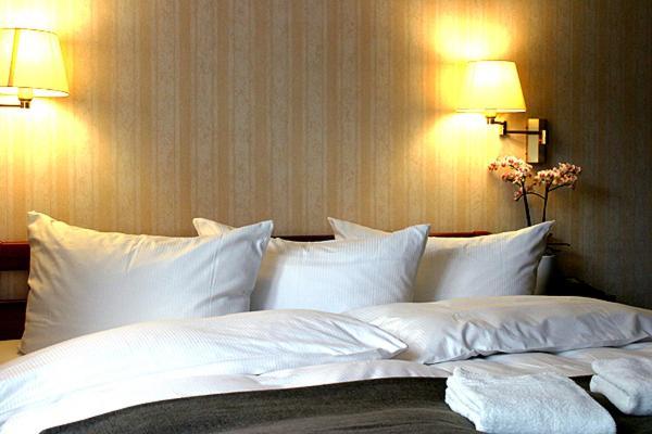 Hotel Doberaner Hof バート・ドーベラン 部屋 写真